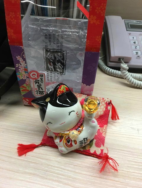 猫猫_副本.jpg
